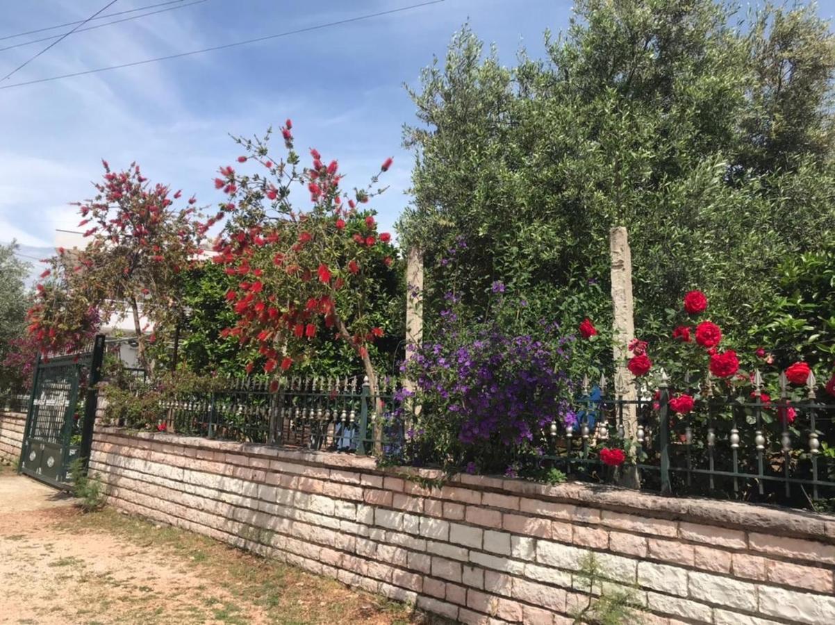 Vita Apartment - Spacious Garden And Balcony 5 Min To Beach & Center Ksamil Exteriör bild