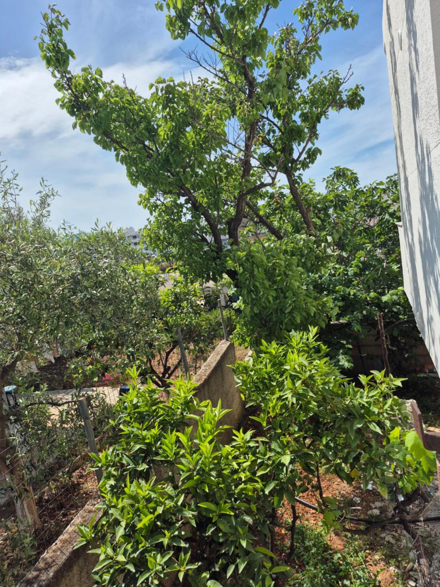 Vita Apartment - Spacious Garden And Balcony 5 Min To Beach & Center Ksamil Exteriör bild