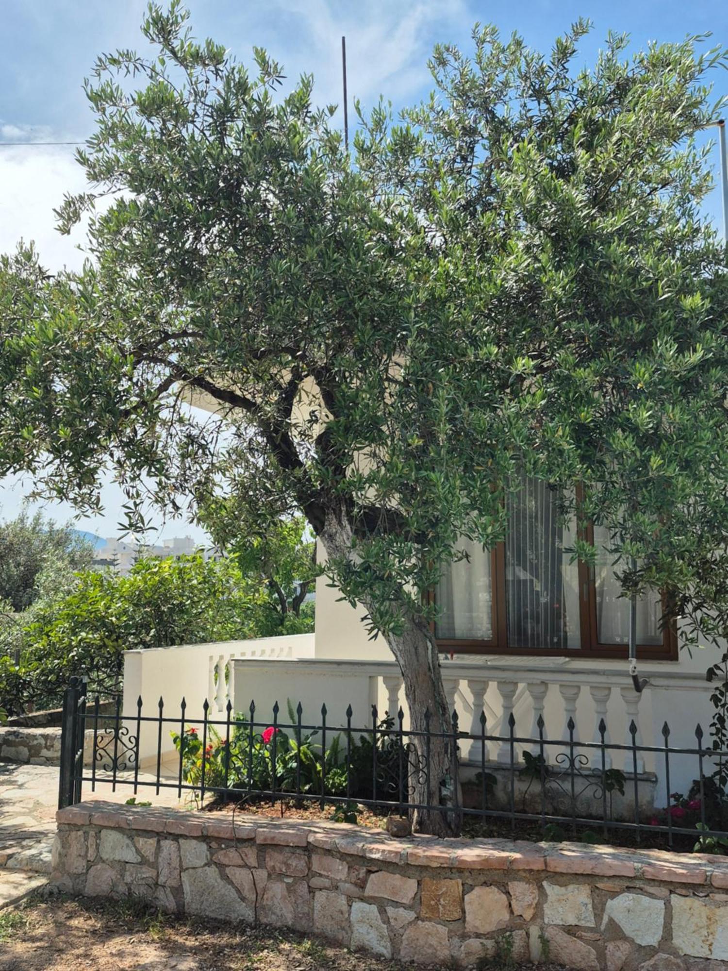 Vita Apartment - Spacious Garden And Balcony 5 Min To Beach & Center Ksamil Exteriör bild