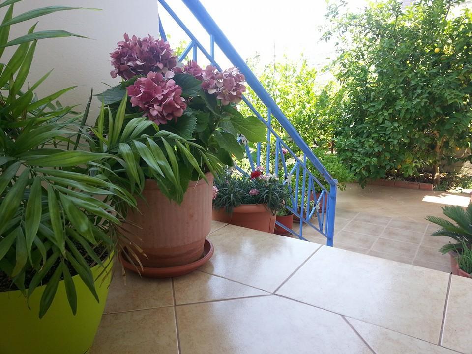 Vita Apartment - Spacious Garden And Balcony 5 Min To Beach & Center Ksamil Exteriör bild